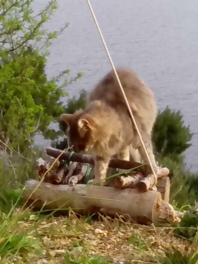 Camping Aloa Μπολ Εξωτερικό φωτογραφία